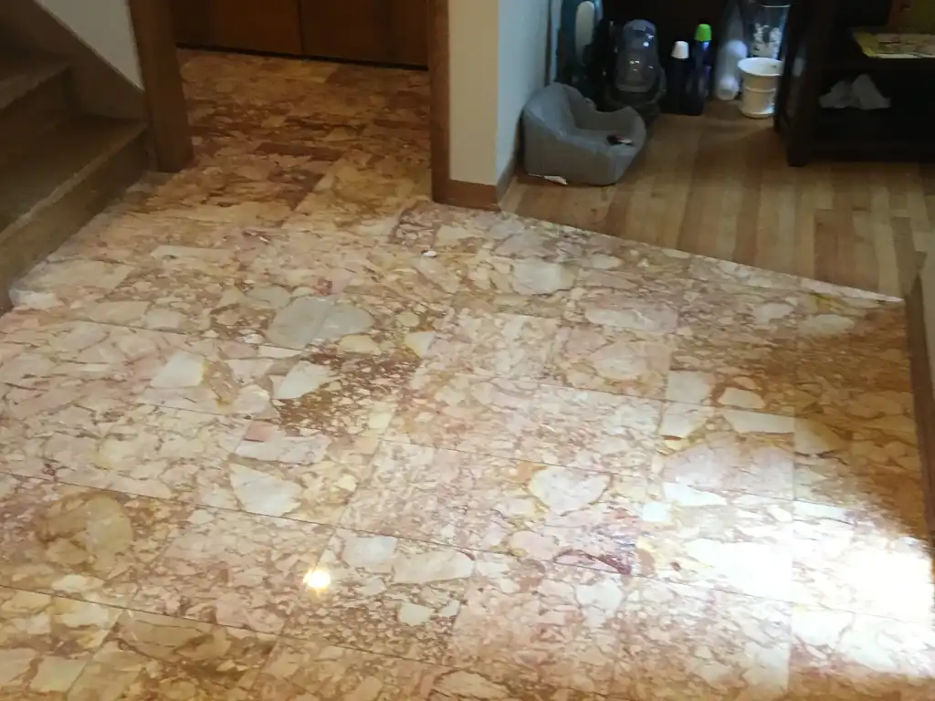 Tile and Grout Cleaning